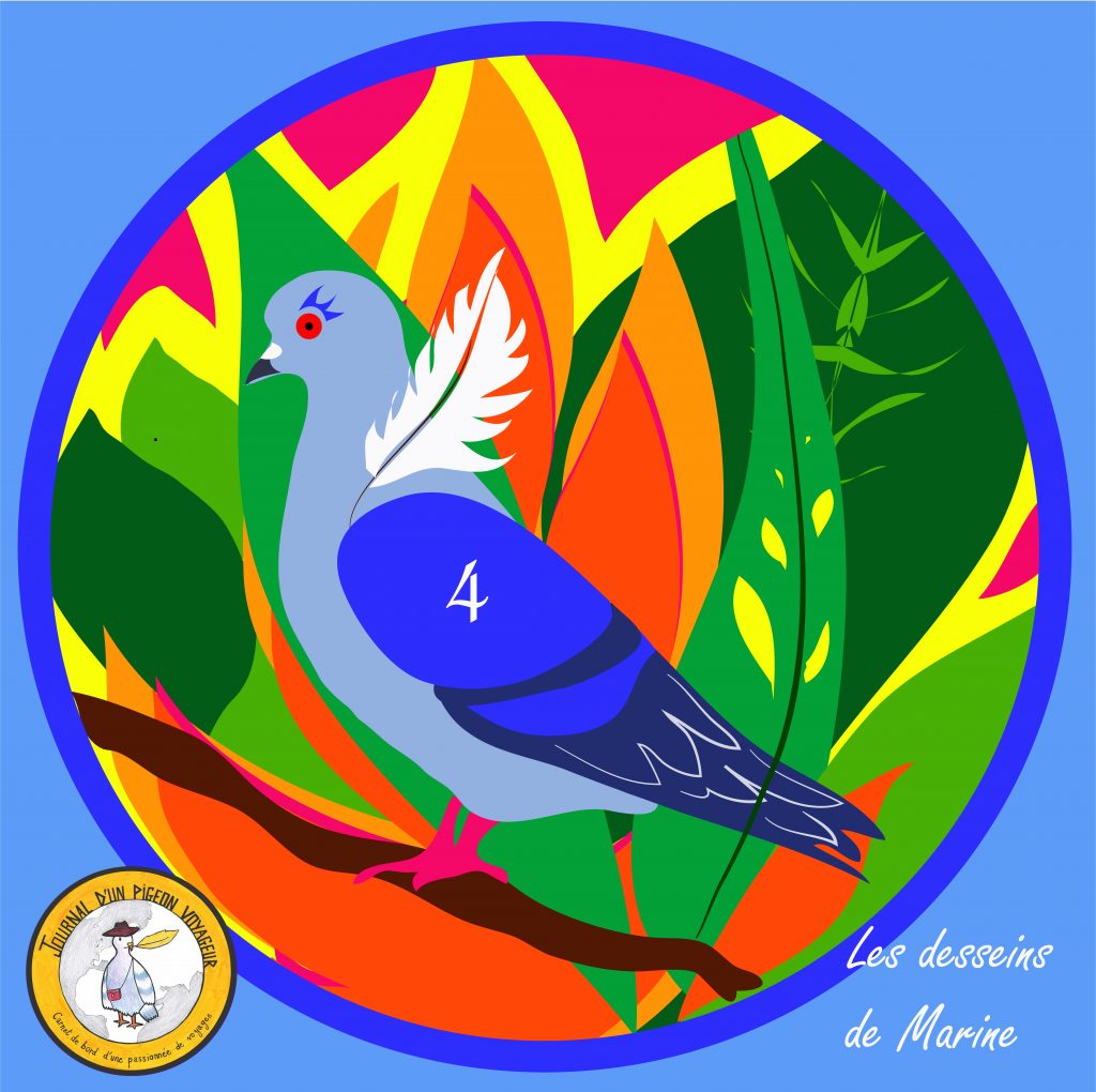Journal d'un Pigeon Voyageur par Les Desseins de Marine (3)