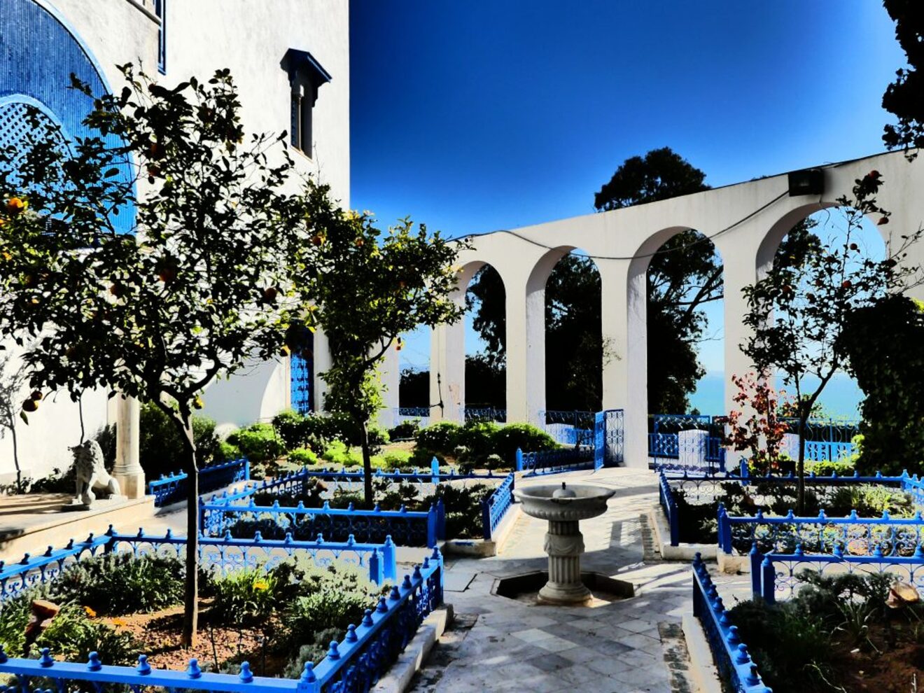 Les Jardin De Sidi Bou Said Toulon